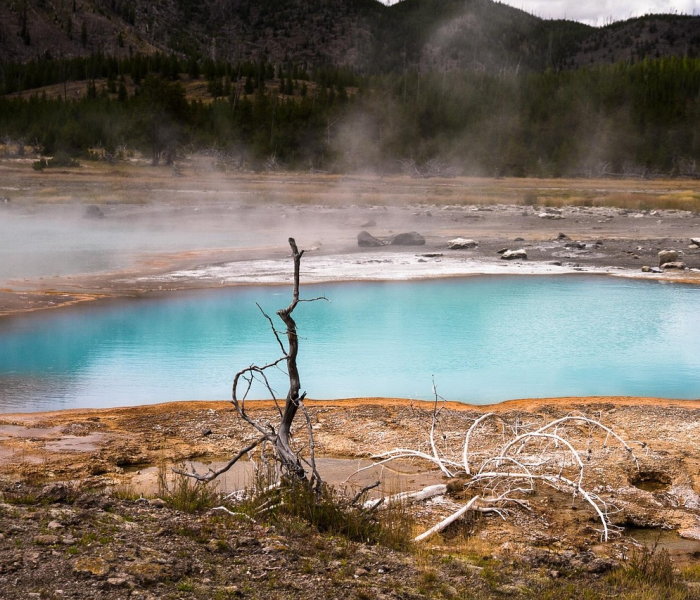 一分钟介绍使用“微信炸 金花房卡链接怎么搞”详细房卡使用教程 一分钟介绍使用“微信炸 金花房卡链接怎么搞”详细房卡使用教程