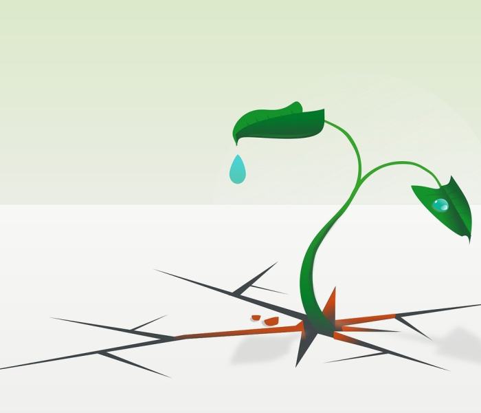 房卡必备教程“微信牛牛房卡金花”轻松获取房卡全渠道