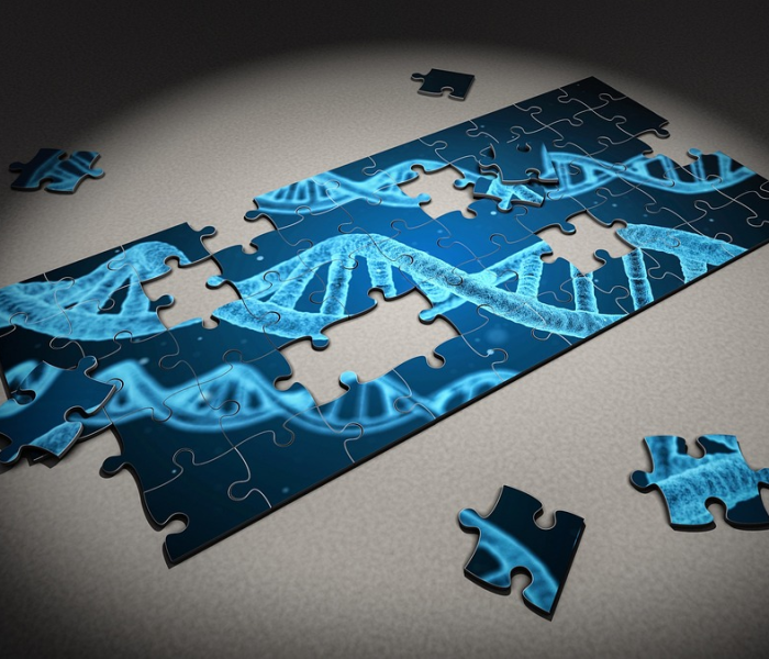 房卡全攻略“新猴王大厅金花房卡充值”详细房卡教程 房卡全攻略“新猴王大厅金花房卡充值”详细房卡教程