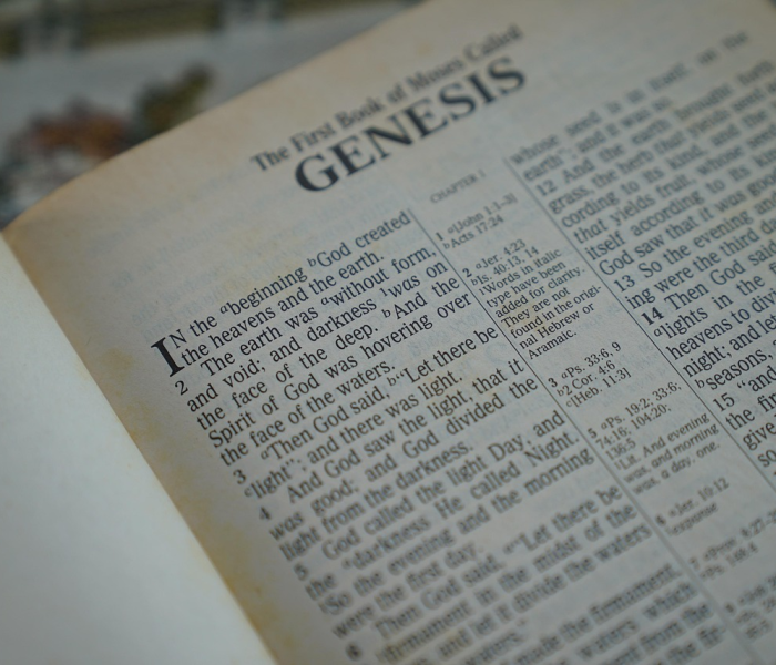 全攻略普及“微信金花从哪里买房卡-百度”房卡获取方式