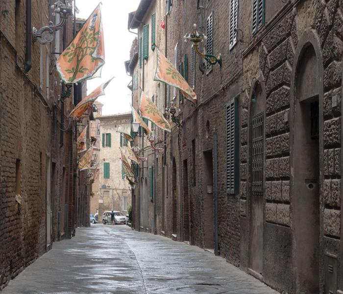 房卡必备教程“微信七喜链接牛牛房卡”获取房卡教程-哔哩哔哩