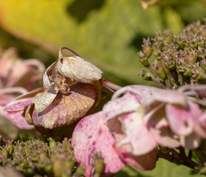 秒懂教程“斗牛房卡从哪里购买”详细房卡使用教程 秒懂教程“斗牛房卡从哪里购买”详细房卡使用教程
