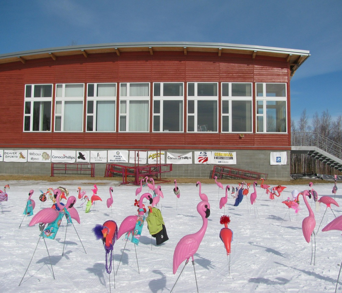 全攻略普及“微信链接斗牛技巧规律”房卡详细充值