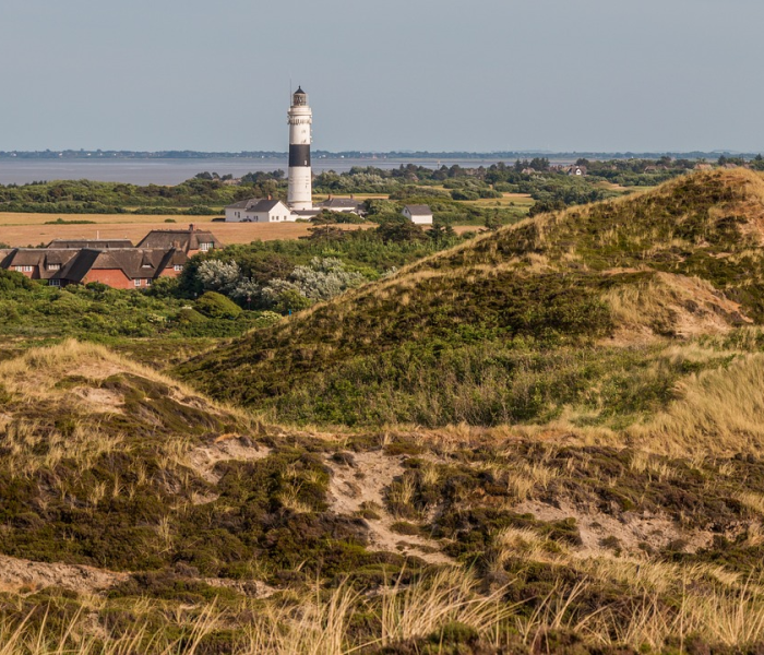 一分钟了解“斗牛链接房卡找谁购买”房卡链接获取 一分钟了解“斗牛链接房卡找谁购买”房卡链接获取