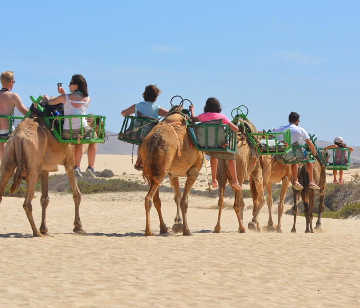 秒懂百科“微信链接牛牛房卡怎么买”房卡获取方式