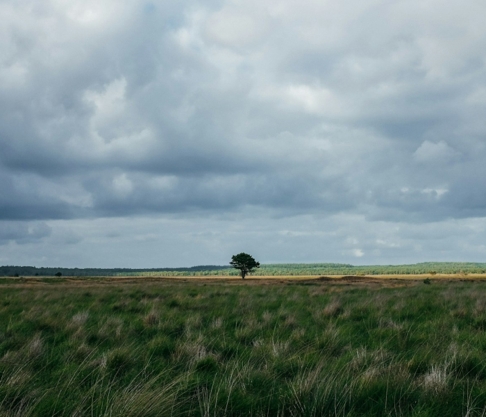 秒懂百科“微信金花群怎么买房卡”详细房卡使用教程 秒懂百科“微信金花群怎么买房卡”详细房卡使用教程