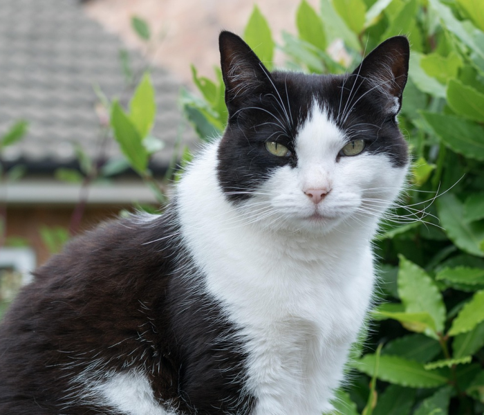 一分钟介绍使用“微信牛牛群房卡哪里买”获取房卡教程-哔哩哔哩