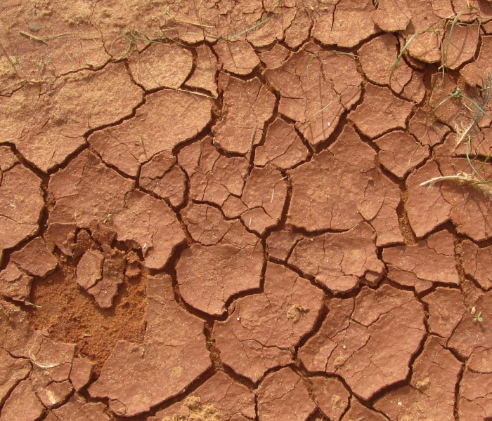 一分钟实测分享“金花牛牛房卡出售”详细房卡使用教程