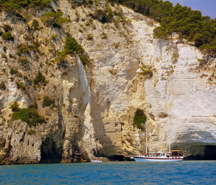 房卡必备教程“微信群房卡金花怎么弄”房卡链接获取