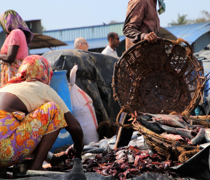 秒懂百科“新皇豪牛牛金花房卡”房卡链接获取