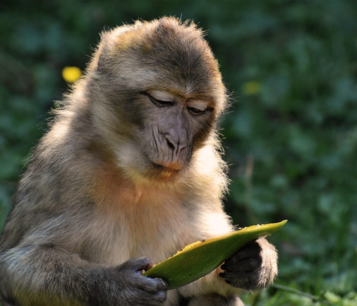 一分钟实测分享“皇豪互娱牛牛如何购买房卡”获取房卡教程-哔哩哔哩 一分钟实测分享“皇豪互娱牛牛如何购买房卡”获取房卡教程-哔哩哔哩