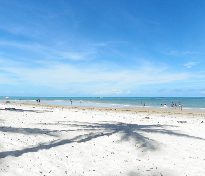 全攻略普及“微信金花牛牛房卡怎么买”轻松获取房卡全渠道