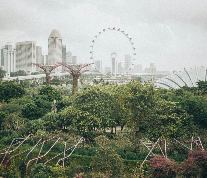 房卡必备教程“微信炸 金花链接房卡哪里买”房卡链接获取 房卡必备教程“微信炸 金花链接房卡哪里买”房卡链接获取