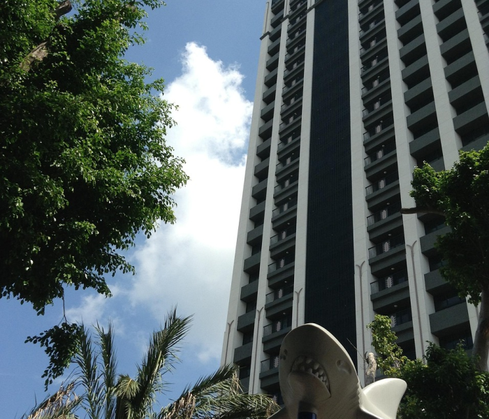 一分钟实测分享“金花牛牛房卡出售”获取房卡教程-哔哩哔哩