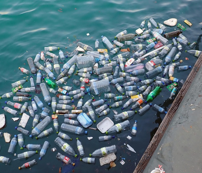 房卡全攻略“微信牛牛怎么充值房卡”详细房卡怎么购买教程