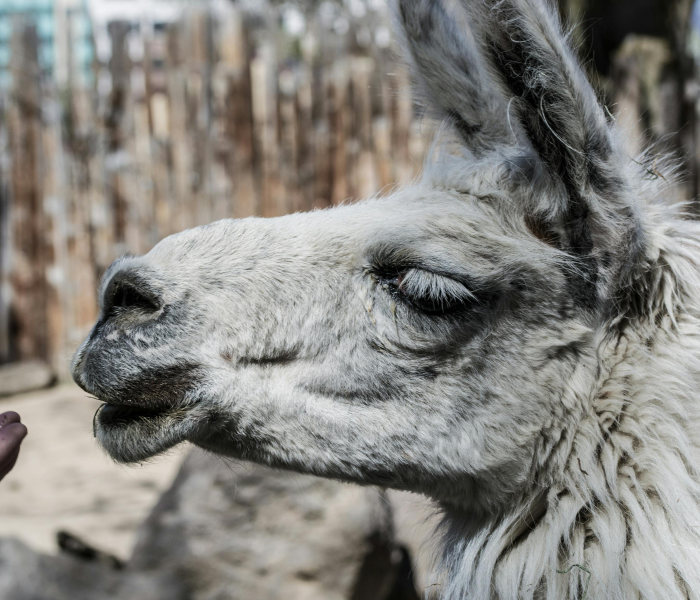 一分钟实测分享“微信好友炸 金花房间链接怎么弄”房卡获取方式 一分钟实测分享“微信好友炸 金花房间链接怎么弄”房卡获取方式