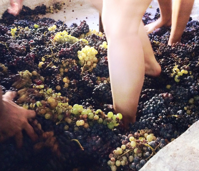 房卡必备教程“微信链接斗牛房卡哪里有卖”房卡链接获取