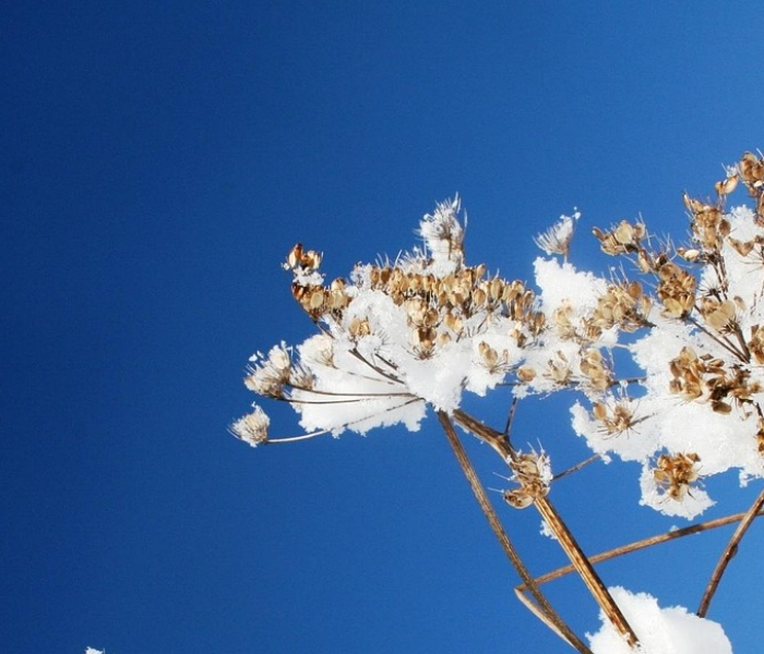 全攻略普及“微信玩金花房卡”详细房卡教程