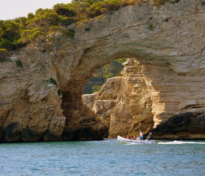 给大家讲解“微信斗牛房卡如何购买”房卡链接获取 给大家讲解“微信斗牛房卡如何购买”房卡链接获取