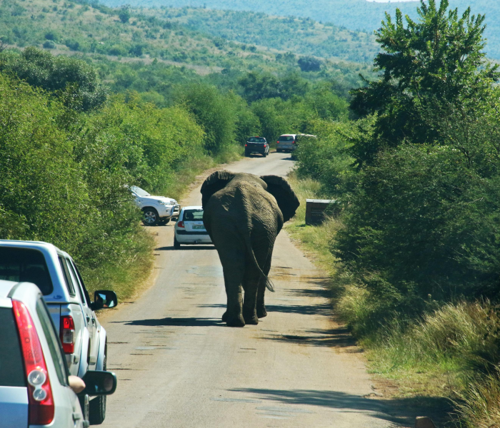 一分钟介绍使用“微信群牛牛房卡如何充值”详细房卡使用教程 一分钟介绍使用“微信群牛牛房卡如何充值”详细房卡使用教程