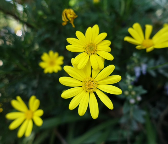 一分钟实测分享“怎么购买微信炸 金花房卡”获取房卡教程-哔哩哔哩