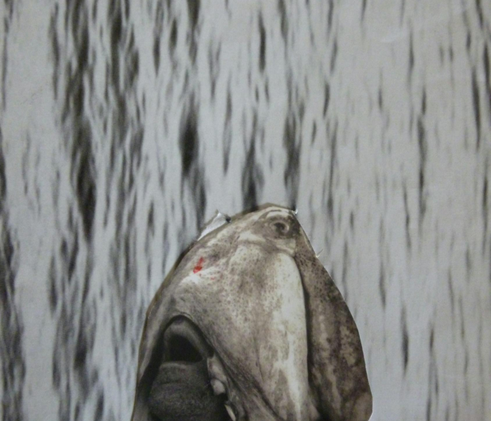 一分钟实测分享“微信金花房卡哪里买”详细房卡教程