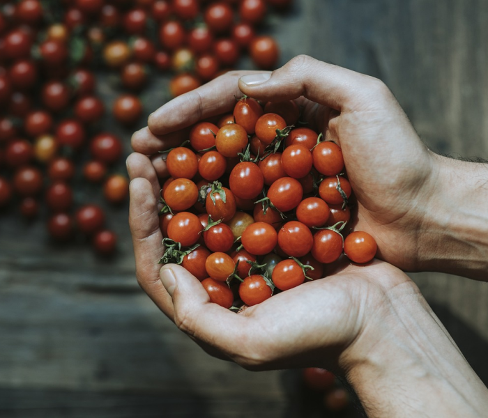 房卡必备教程“微信炸 金花房卡在哪里购买”轻松获取房卡全渠道