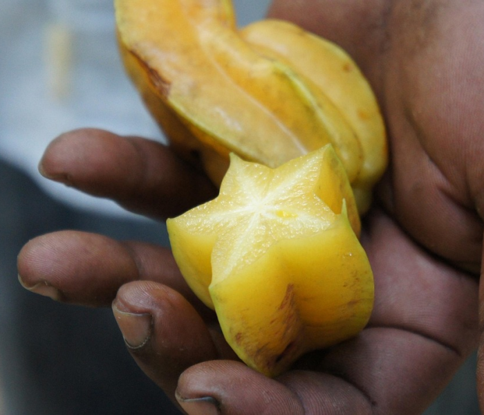 一分钟了解“微信链接牛牛房卡在哪里买”轻松获取房卡全渠道