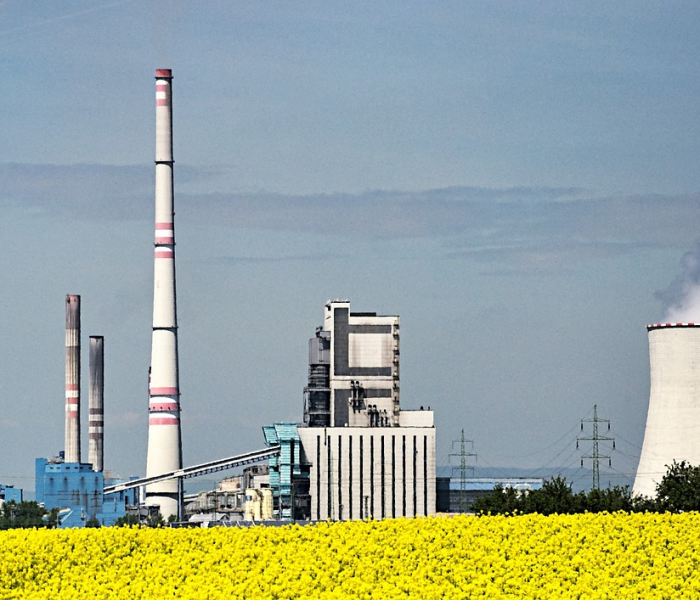 秒懂教程“微信金花房卡在哪买”详细房卡怎么购买教程