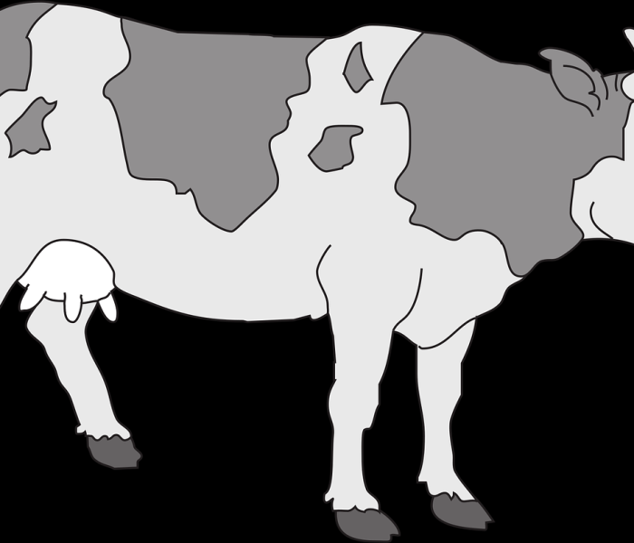 秒懂教程“随意玩大厅在哪里购买房卡”获取房卡教程-哔哩哔哩 秒懂教程“随意玩大厅在哪里购买房卡”获取房卡教程-哔哩哔哩