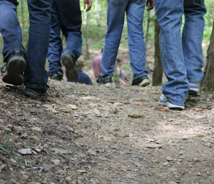 房卡必备教程“微信金花房卡怎么搞”房卡详细充值