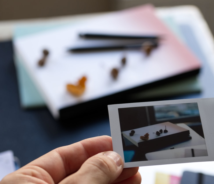 秒懂教程“新道游牛牛房卡”房卡详细充值