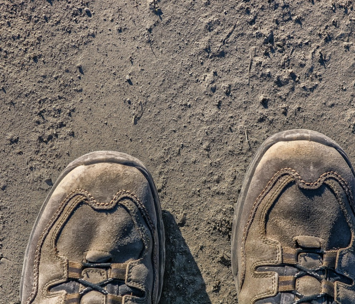 秒懂教程“创建微信斗牛链接房卡怎么弄”轻松获取房卡全渠道